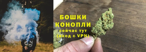 шишки Покров