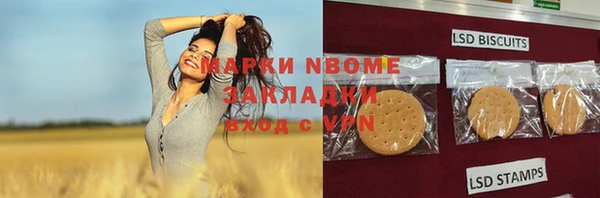 стафф Покачи