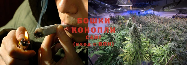 сатива Протвино