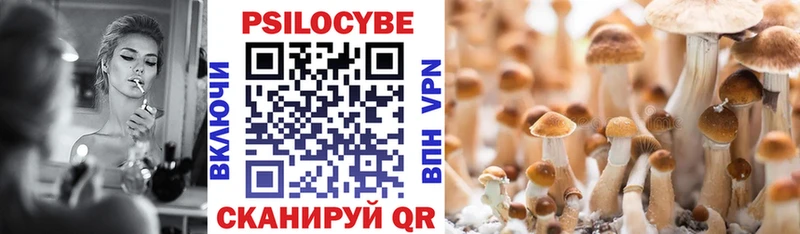 Купить  Благовещенск  Псилоцибиновые грибы Magic Shrooms 