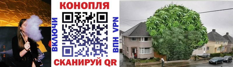 МАРИХУАНА сатива  Купить закладки  Благовещенск 